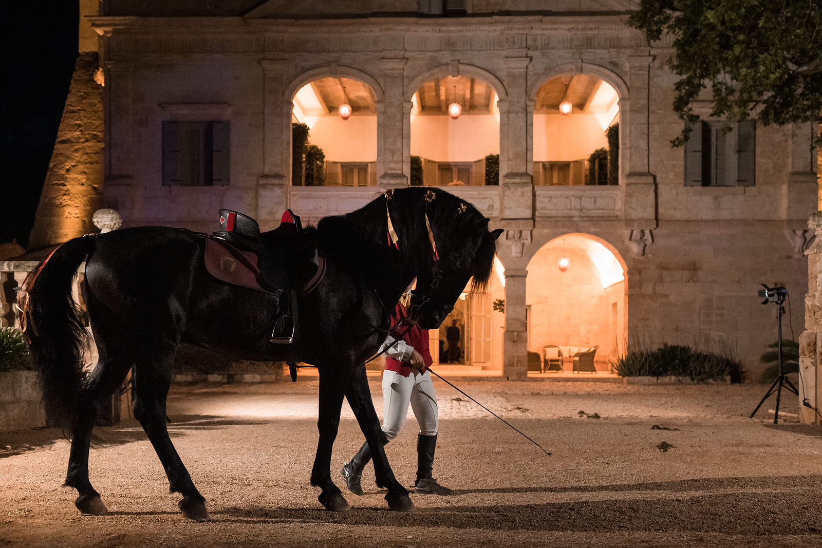 Servicios exclusivos en Menorca