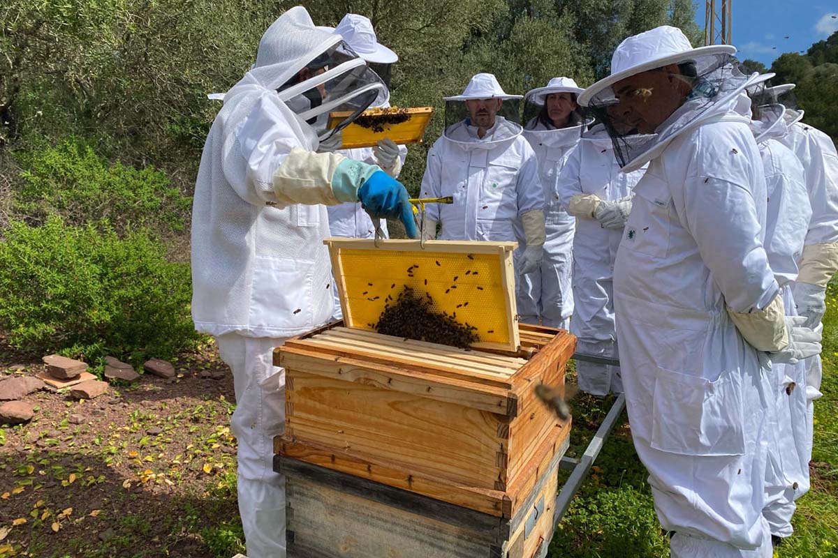 visitas_0000_apicultor