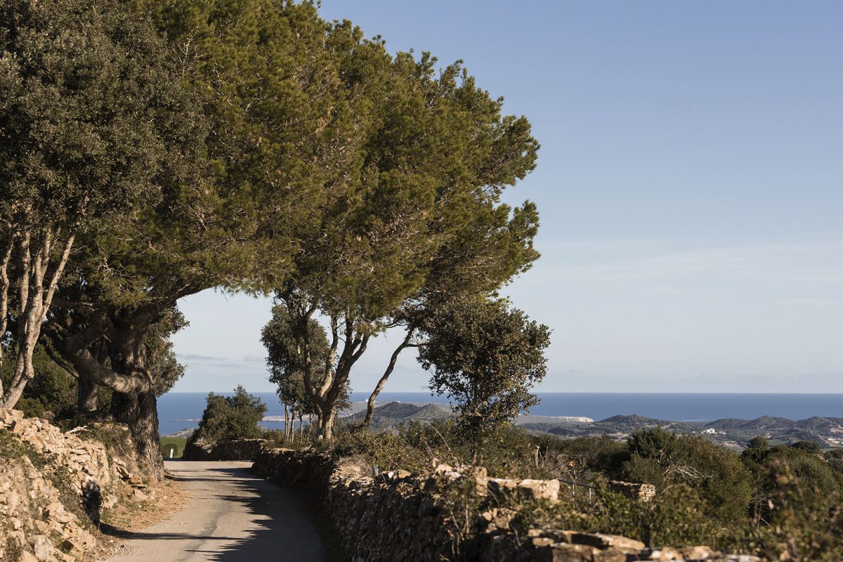 _0006_2024-12-the-menorcan-artesans-032