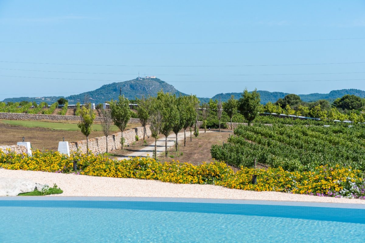 PHOTO-2024-09-02-19-20-00