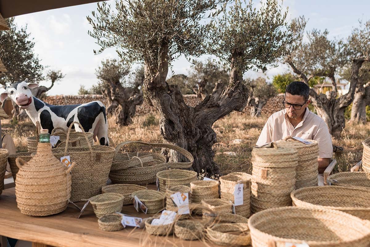 Sin título-5_0003_2024-06-son-vell-day-1-042 (1)